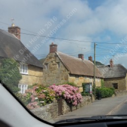 Thatched cottage village